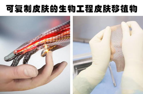 根据五行命理选择交房吉日