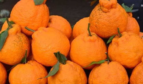 1. 不同品种的分离存放：避免相互干扰