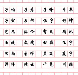 双字组合：花样百出