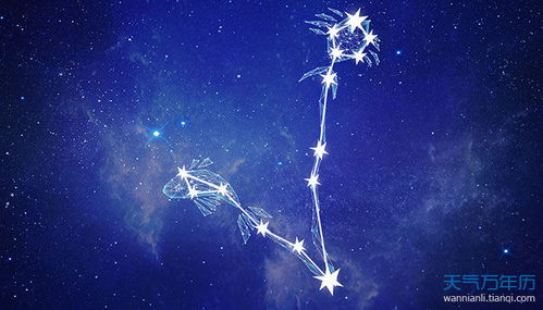 水瓶座、双鱼座