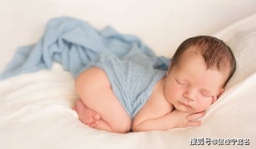 二、 国学美学视角下的属虎女孩起名策略