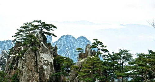 黄山景点较深度解析：四绝三瀑不是传说