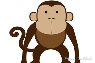 属蛇的人为何不宜与属虎、属猴、属猪的人共饮，存在何种相冲之谜？