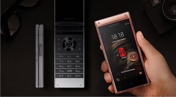 2028年号令天下事业手机号，2026年最新政策有哪些变动？