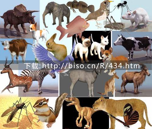 力大无比的动物属什么生肖？十二生肖模型仿真动物指的是什么？