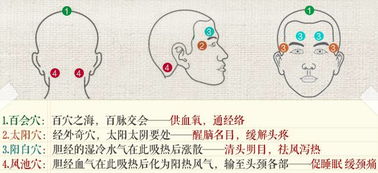 二、人脉质量误区剖析（关于“人与朋友”取决他人的普遍错误认知）