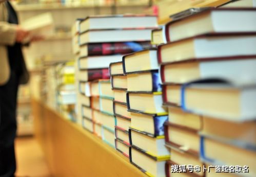 二、 命名原则的理论框架与实践概览
