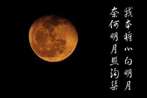 月明千里是哪个生肖？月明千里打一生肖是什么生肖？