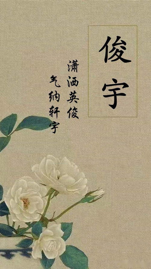 为什么要给杨姓女孩取书香气质的名字？