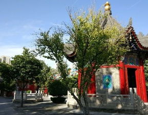 省钱骚操作大公开！