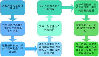 如何通过风水项目教程，精准引流客户到我的风水服务？
