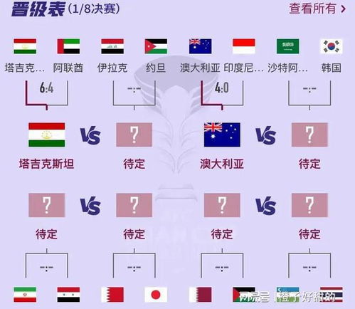 ：亚洲杯决赛最终还是结果是公布时点之学术探讨与生肖运势交叉解析