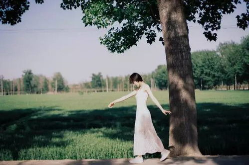 一、 自然之美与人生哲理：对“风中飘零”意象的溯源