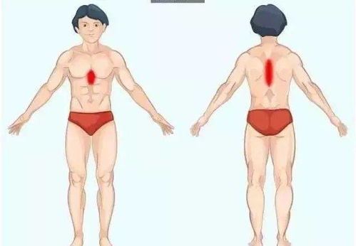 肢体语言中手相握，这种动作相握究竟意味着什么？