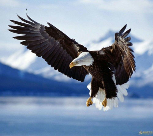 震惊！这个字竟然藏着天大的秘密！99%的人都不知道