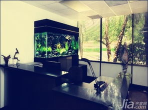 （四） 结构禁忌：背后虚空与体量失衡