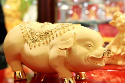 2026年83年属猪人能否躲过全年运势中的大难？