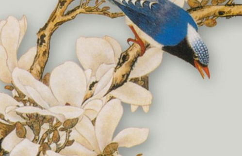 1965年5月6日出生的八字运势如何？