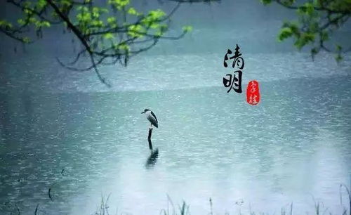 1.1 象征意义解析