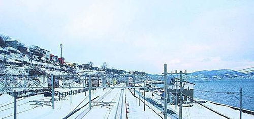 宁河县旅游攻略：一场灵魂拷问般的旅行