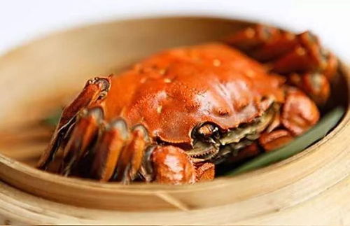 （二） 命名由来与视觉隐喻
