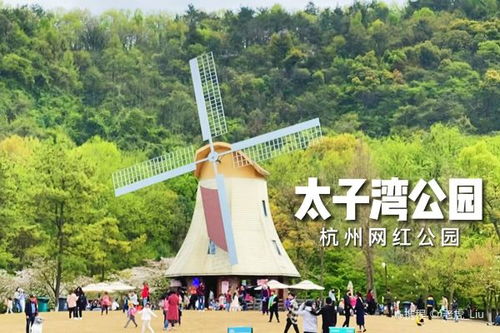 游玩路线暗藏风水局