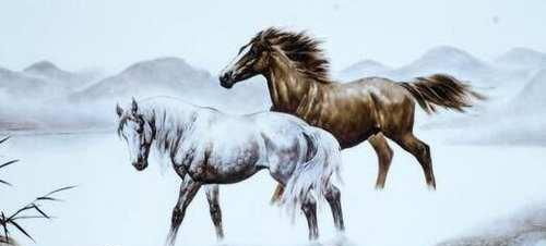 1978年属马2026年蛇年运势及运程，78年生肖马在2026年具体运程如何？