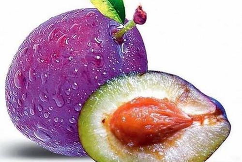 老年人的养生警告