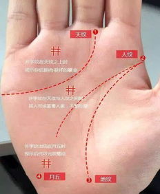 一、 心脏病手相特征