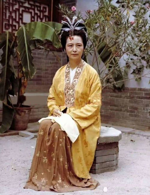 王夫人的身世与身份转变