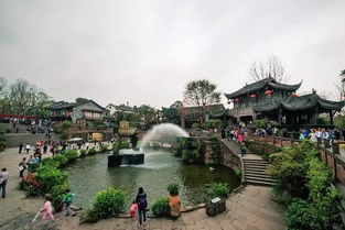 2026年最新票价：贵到怀疑人生