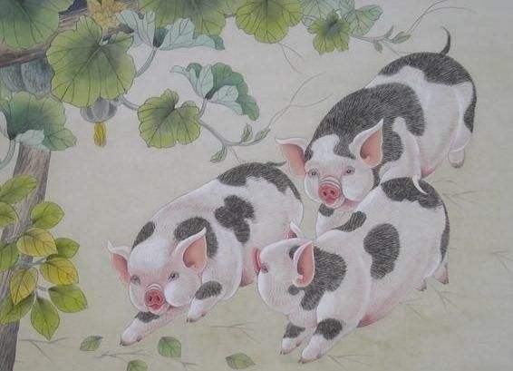 83年属猪的人住几层楼风水最好？