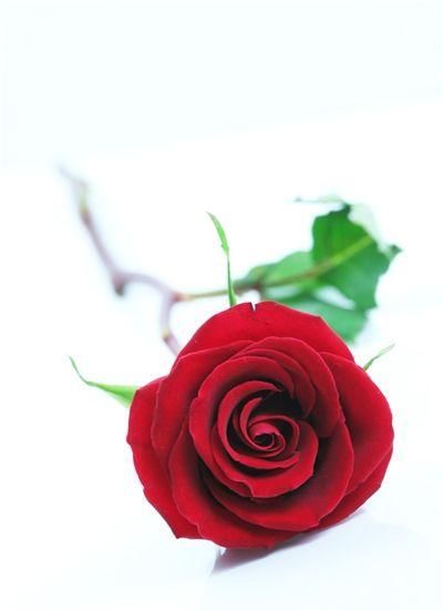 2026年属牛人三喜分别在几月，运势如何？