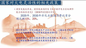 四、  案例较深度解析：创业场域中的火土协同实证