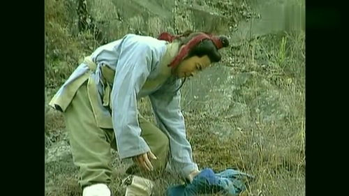 险象环生：狭窄巷弄中的意外