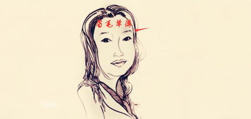 眉毛：情缘之窗