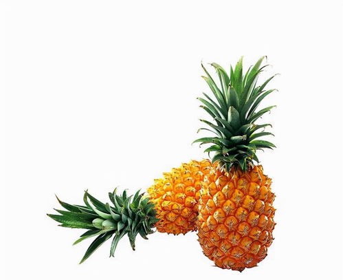 三、  植物果实符号的象征意义：石榴与花生的生殖崇拜