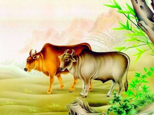 属牛85年女性2026年运势如何，佩戴何种首饰能转运？