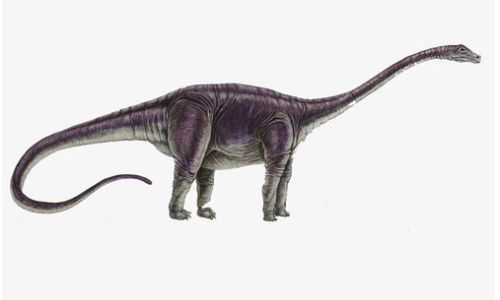 海字系列：龙宫在召唤！