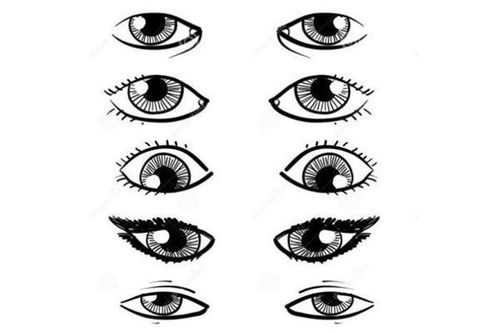 3. 伏犀眼、 伏龙眼、伏凤眼、鸣凤眼、丹凤眼、孔雀眼、鹤眼、瑞风眼