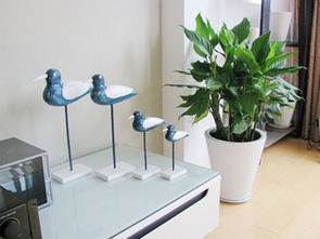 二、  植物命名、习性与命理匹配的深层逻辑