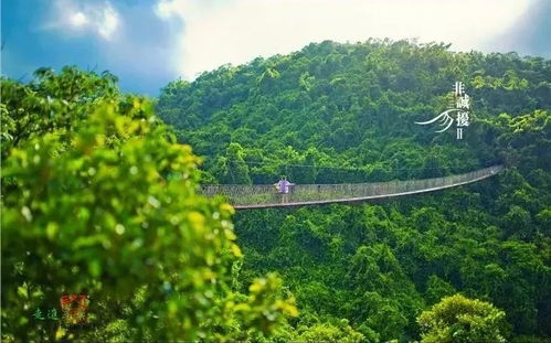 真实的游玩体验：刺激还是受罪？