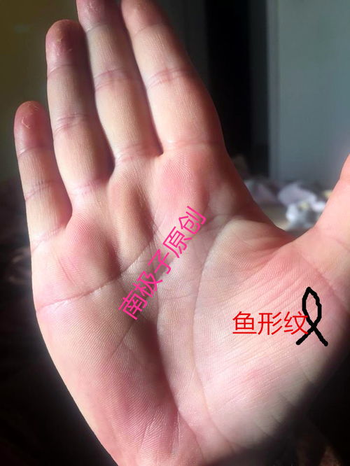 二、 无名指及其周边纹路对偏财运的指示功能