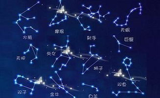 2026年属鸡处女座财运如何，81年出生的属鸡处女座运势怎样？