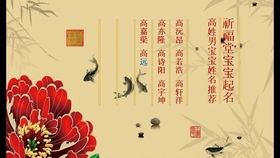 薛姓男孩名字寓意美好， 寓意丰富