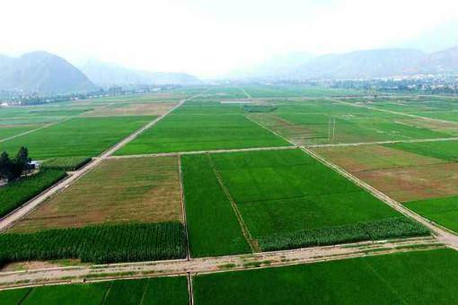 概念通用性与文艺表达中的交叉使用