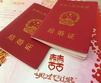 一、  制度维度的革新：新规实施下的便利性红利