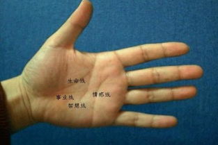 掌纹学：手掌纹路中的生命轨迹解码