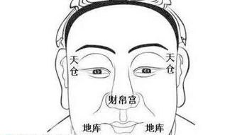 一、 面相特征的象征意义及其结构化描述