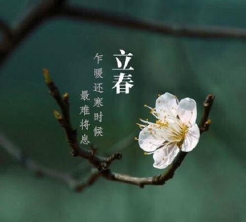 2026年立春是哪一天，立夏又是哪一天呢？